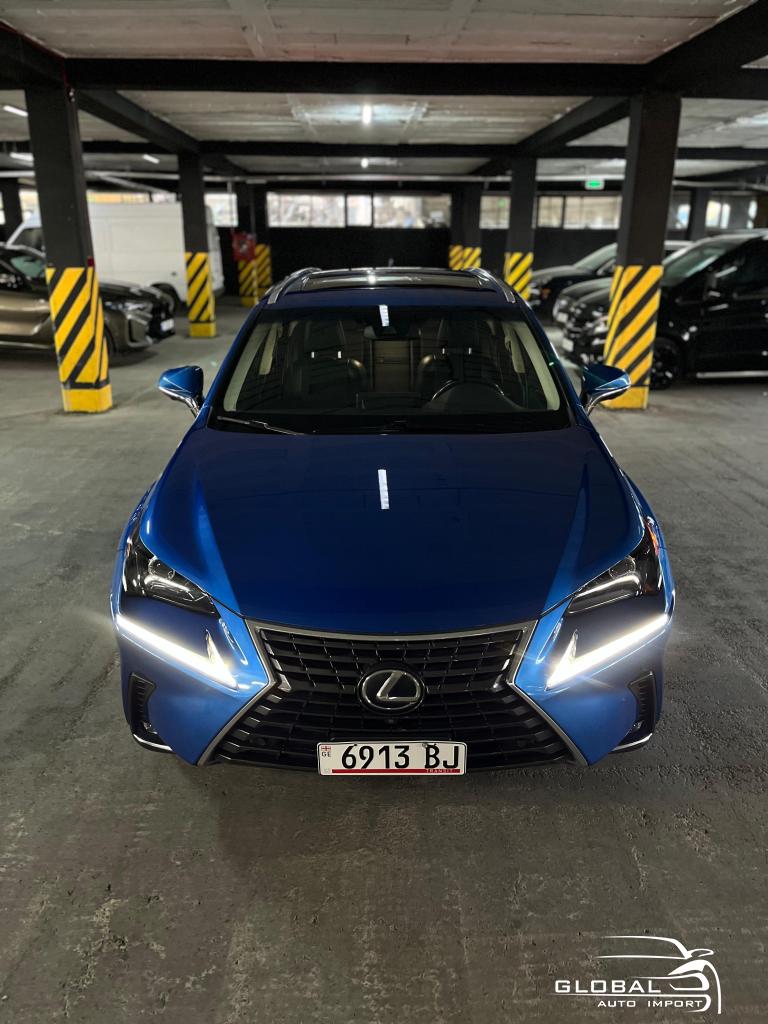 2018 Lexus NX