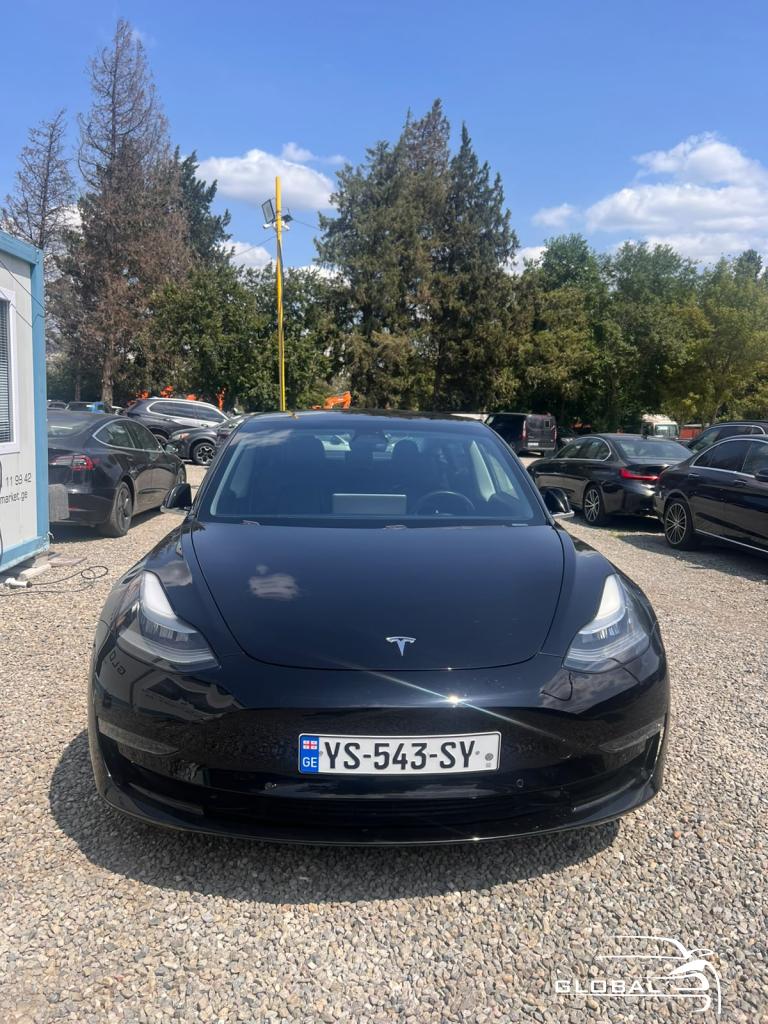 2019 Tesla Model 3